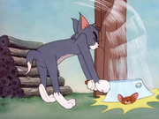 Tom and Jerry on a crazy sex adventure