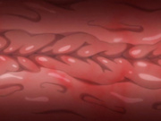 Lovely x cation the animation episode 2 part 1