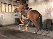 The brutal power of cock - Breaking the quiet (Lara Croft by animepron)