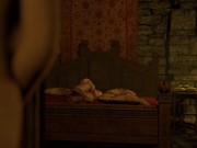 A Night with Yennefer and Ciri by SubjectXXX